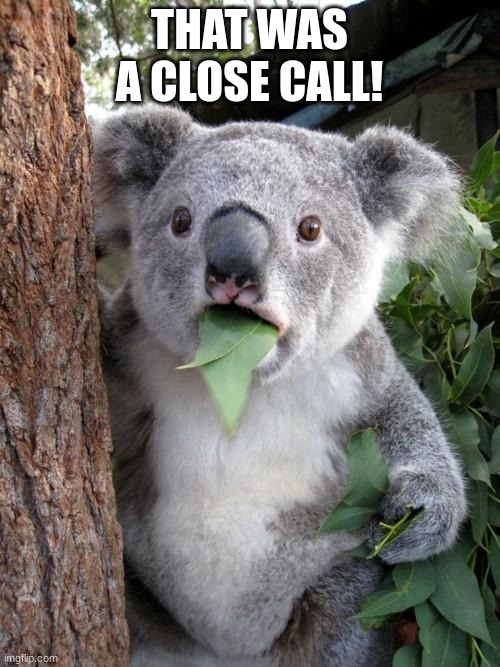 Surprised Koala Meme | THAT WAS A CLOSE CALL! | image tagged in memes,surprised koala | made w/ Imgflip meme maker