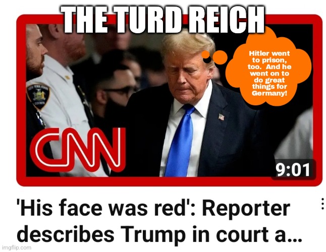 Common Criminal | THE TURD REICH | image tagged in donald trump,justice,jurors with balls | made w/ Imgflip meme maker
