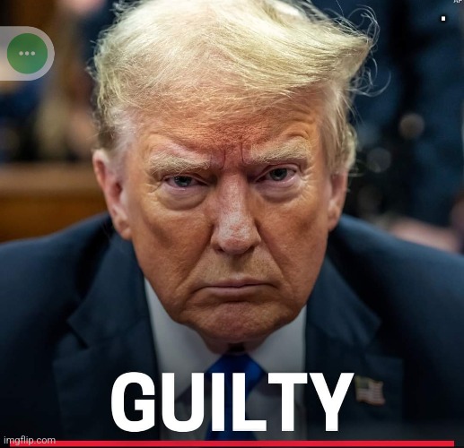 Criminald! | . | image tagged in conservative,republican,trump,trump supporter,maga,nevertrump | made w/ Imgflip meme maker