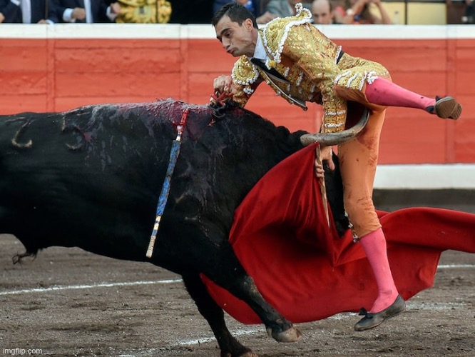 Bullfighter getting gored in crotch | image tagged in bullfighter getting gored in crotch | made w/ Imgflip meme maker