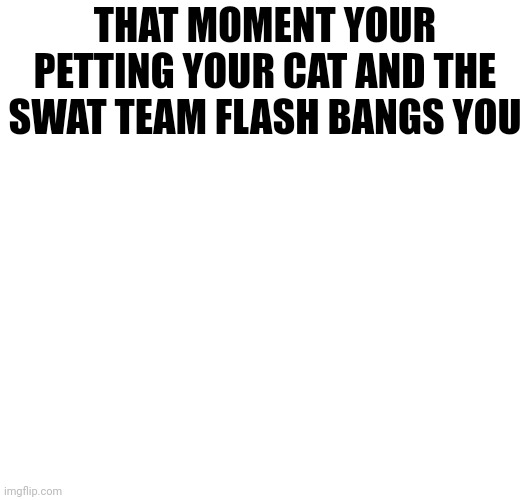 THAT MOMENT YOUR PETTING YOUR CAT AND THE SWAT TEAM FLASH BANGS YOU | made w/ Imgflip meme maker
