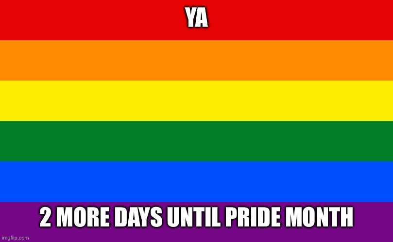 2 MORE DAYS! | YA; 2 MORE DAYS UNTIL PRIDE MONTH | image tagged in pride flag | made w/ Imgflip meme maker