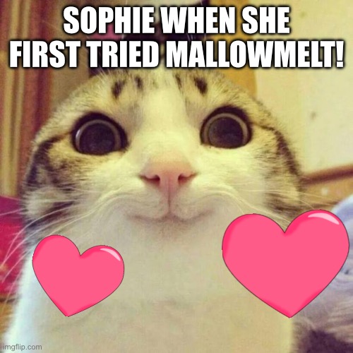 Kotlc | SOPHIE WHEN SHE FIRST TRIED MALLOWMELT! | image tagged in memes,smiling cat,kotlc | made w/ Imgflip meme maker