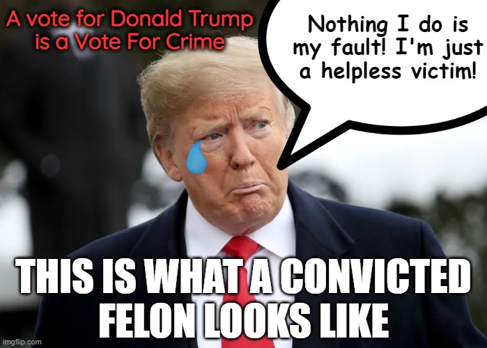 A vote for Donald Trump is a Vote For Crime. | A vote for Donald Trump
is a Vote For Crime; Nothing I do is
my fault! I'm just
a helpless victim! THIS IS WHAT A CONVICTED
FELON LOOKS LIKE | image tagged in donald trump,maga,crime,stupid criminals,trump,it's the law | made w/ Imgflip meme maker