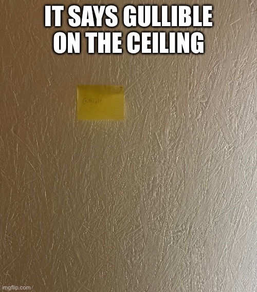 IT SAYS GULLIBLE ON THE CEILING | made w/ Imgflip meme maker