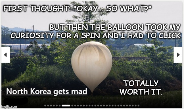 When butthurt frat bros are running things | FIRST THOUGHT: "OKAY... SO WHAT?"; BUT THEN THE BALLOON TOOK MY CURIOSITY FOR A SPIN AND I HAD TO CLICK; TOTALLY WORTH IT. | image tagged in lol,hold up,north korea,hilarious,u mad bro | made w/ Imgflip meme maker