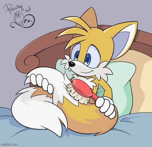 Tails brushing his tails (Art credit : PeachyOwlArt on DA) | image tagged in da,cute,wholesome,fox,cartoon | made w/ Imgflip meme maker