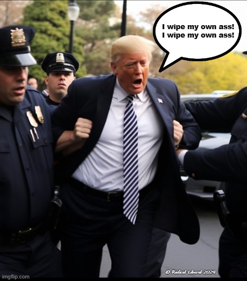 Let's go Big Daddy! | I wipe my own ass!
I wipe my own ass! © Radical Liberal 2024 | image tagged in nevertrump,trump is shit,donny diarrhea,trumpstain,donnie diapers,big daddy | made w/ Imgflip meme maker