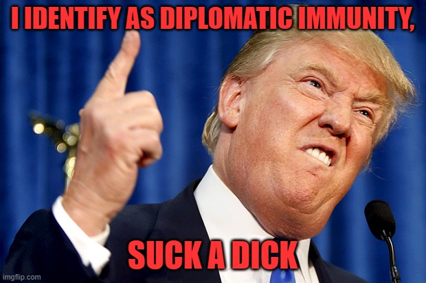 new identity | I IDENTIFY AS DIPLOMATIC IMMUNITY, SUCK A DICK | image tagged in donald trump | made w/ Imgflip meme maker