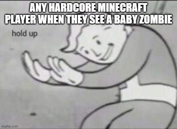 Fallout Hold Up | ANY HARDCORE MINECRAFT PLAYER WHEN THEY SEE A BABY ZOMBIE | image tagged in fallout hold up | made w/ Imgflip meme maker