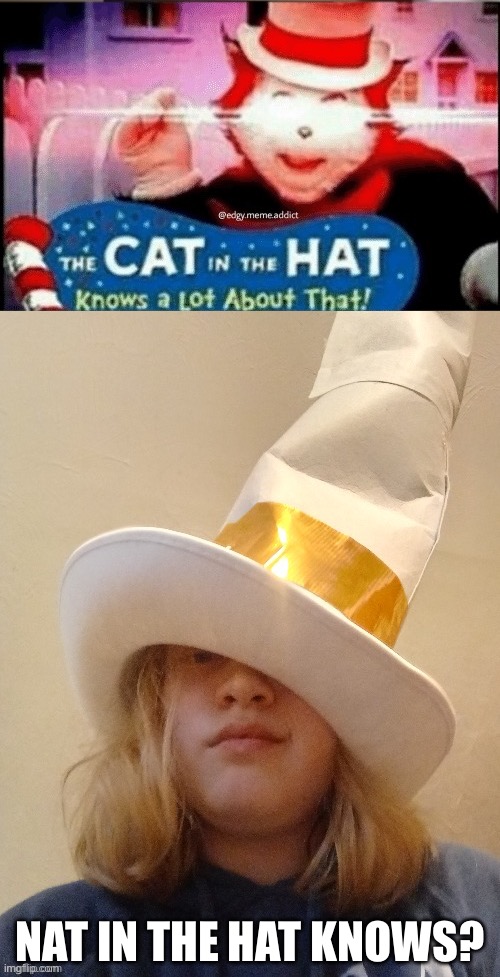 NAT IN THE HAT KNOWS? | image tagged in cat in the hat knows alot about that | made w/ Imgflip meme maker
