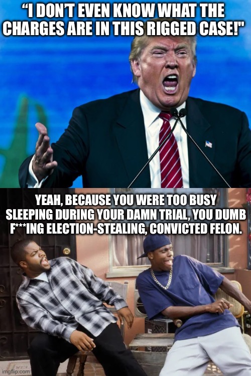 CONVICTED FELON TRUMP IS GUILTY ON ALL 34 COUNTS! | “I DON’T EVEN KNOW WHAT THE CHARGES ARE IN THIS RIGGED CASE!"; YEAH, BECAUSE YOU WERE TOO BUSY SLEEPING DURING YOUR DAMN TRIAL, YOU DUMB F***ING ELECTION-STEALING, CONVICTED FELON. | image tagged in trump yelling,trump verdict,trump guilty | made w/ Imgflip meme maker