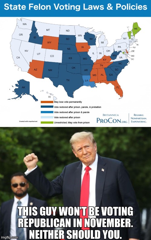 Trump’s felony conviction means he can’t vote for himself in these states | image tagged in trump,felon,elections | made w/ Imgflip meme maker
