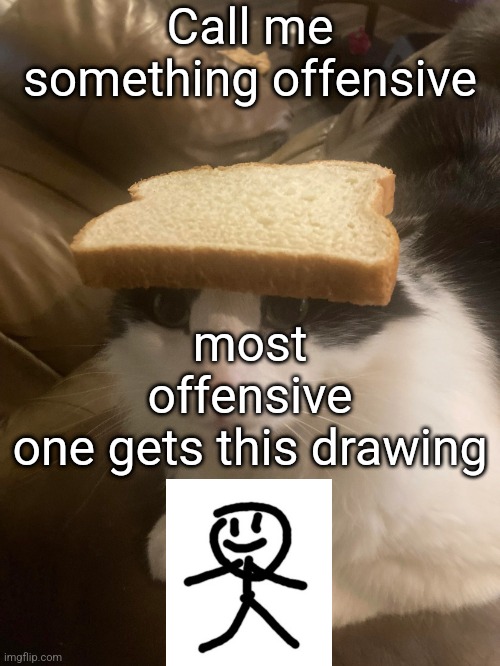h | Call me something offensive; most offensive one gets this drawing | image tagged in bread cat | made w/ Imgflip meme maker