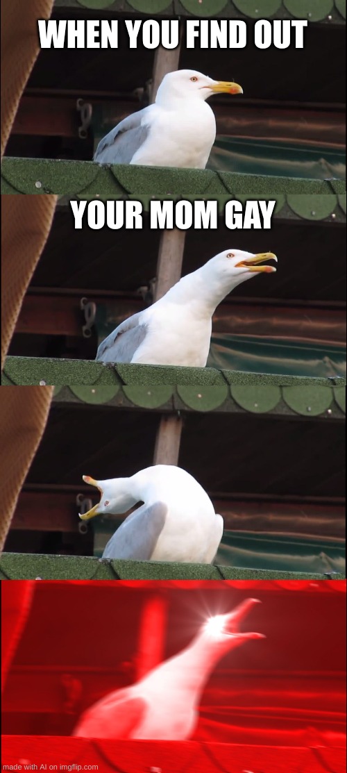 found my old account and made an ai meme | WHEN YOU FIND OUT; YOUR MOM GAY | image tagged in memes,inhaling seagull | made w/ Imgflip meme maker