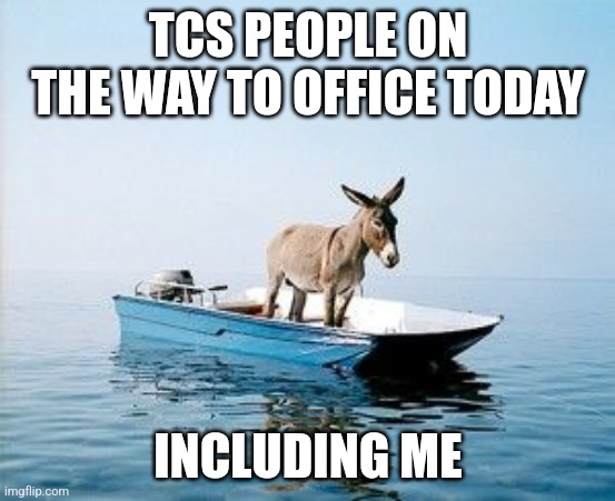 DONKEY ON A BOAT | TCS PEOPLE ON THE WAY TO OFFICE TODAY; INCLUDING ME | image tagged in donkey on a boat | made w/ Imgflip meme maker