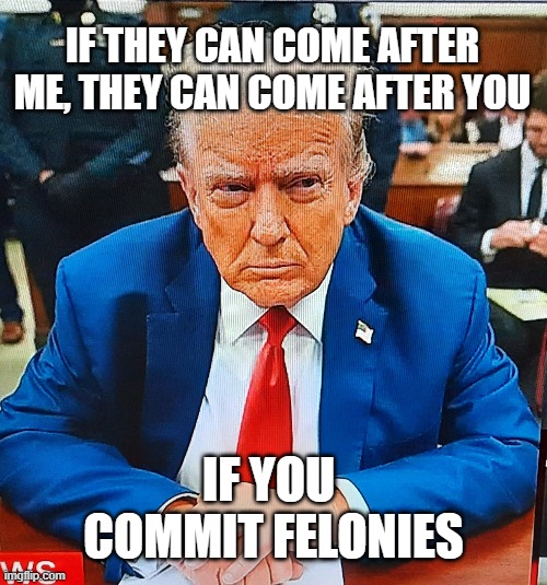 IF THEY CAN COME AFTER ME, THEY CAN COME AFTER YOU; IF YOU 
COMMIT FELONIES | image tagged in trump,crime | made w/ Imgflip meme maker