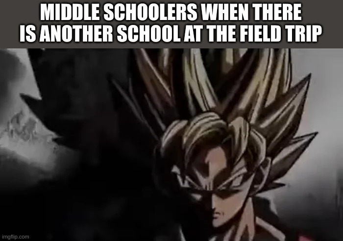real | MIDDLE SCHOOLERS WHEN THERE IS ANOTHER SCHOOL AT THE FIELD TRIP | image tagged in goku staring,middle school,field,trip | made w/ Imgflip meme maker
