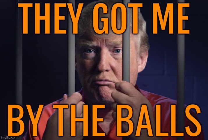 Trump Found Guilty On All 34 Counts | THEY GOT ME; BY THE BALLS | image tagged in trump behind bars,donald trump,donald trump is an idiot,trump is a moron,trump is an asshole,politics lol | made w/ Imgflip meme maker