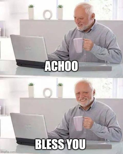 Achoo/Bless you | ACHOO; BLESS YOU | image tagged in memes,hide the pain harold,relatable,jpfan102504 | made w/ Imgflip meme maker