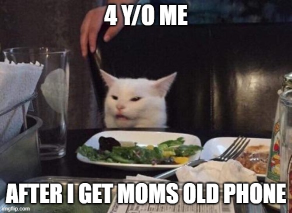 Salad cat | 4 Y/O ME; AFTER I GET MOMS OLD PHONE | image tagged in salad cat | made w/ Imgflip meme maker
