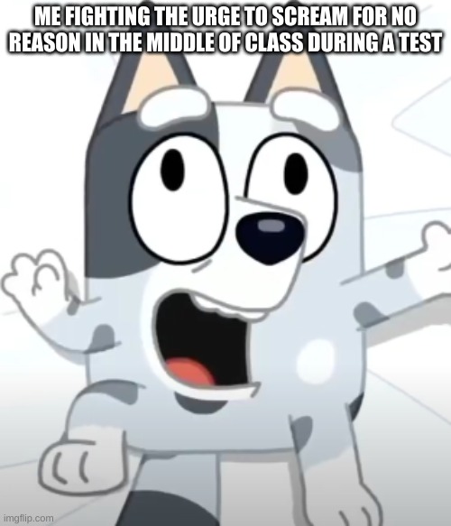 Crazy Muffin (Bluey) | ME FIGHTING THE URGE TO SCREAM FOR NO REASON IN THE MIDDLE OF CLASS DURING A TEST | image tagged in crazy muffin bluey | made w/ Imgflip meme maker