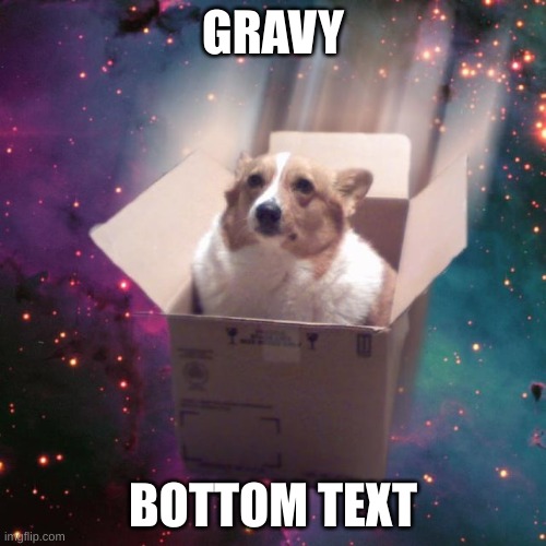 gravy | GRAVY; BOTTOM TEXT | image tagged in gravy,why are you reading the tags,stop reading the tags,i said stop,i hate you,stop | made w/ Imgflip meme maker