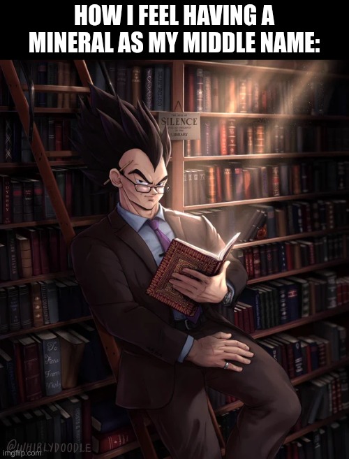 extravogant ;) | HOW I FEEL HAVING A MINERAL AS MY MIDDLE NAME: | image tagged in librarian vegeta,i have kids in my basement,owo,minerals | made w/ Imgflip meme maker