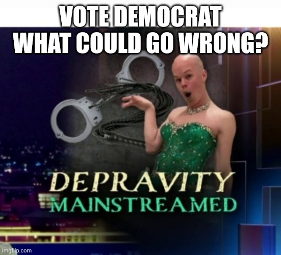 VOTE DEMOCRAT WHAT COULD GO WRONG? | made w/ Imgflip meme maker