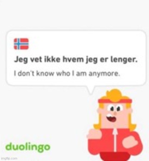 this is the meme title | image tagged in memes,duolingo | made w/ Imgflip meme maker