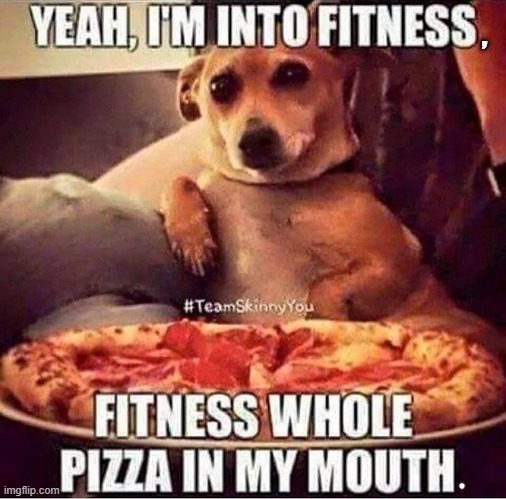 "Like a piece ?" | , | image tagged in dad joke dog | made w/ Imgflip meme maker