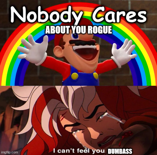 nobody cares about rogue | ABOUT YOU ROGUE; DUMBASS | image tagged in nobody cares,mario,x-men,nintendo,videogames,super mario bros | made w/ Imgflip meme maker