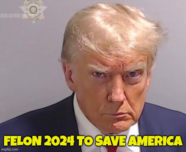 Presidential Portrait | FELON 2024 TO SAVE AMERICA | image tagged in trump derangement syndrome,tds,make america great again,maga,donald trump,trump | made w/ Imgflip meme maker