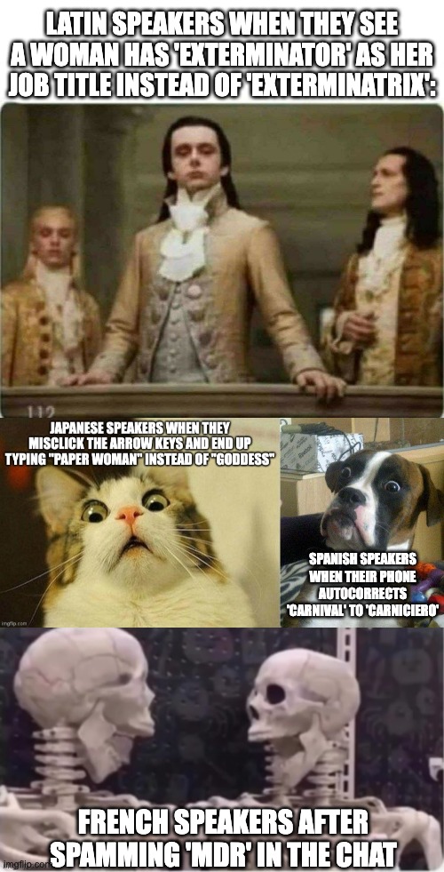 Language Slander Collage | LATIN SPEAKERS WHEN THEY SEE A WOMAN HAS 'EXTERMINATOR' AS HER JOB TITLE INSTEAD OF 'EXTERMINATRIX':; SPANISH SPEAKERS WHEN THEIR PHONE AUTOCORRECTS 'CARNIVAL' TO 'CARNICIERO'; FRENCH SPEAKERS AFTER SPAMMING 'MDR' IN THE CHAT | image tagged in haughty renaissance men,surprised dog,laughing skeletons | made w/ Imgflip meme maker