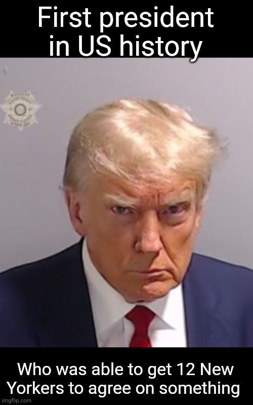 The first time he has ever brought the country together | First president in US history; Who was able to get 12 New Yorkers to agree on something | image tagged in donald trump mugshot,scumbag republicans,terrorists,conservative hypocrisy,trailer trash | made w/ Imgflip meme maker