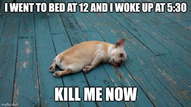 tired dog | I WENT TO BED AT 12 AND I WOKE UP AT 5:30; KILL ME NOW | image tagged in tired dog | made w/ Imgflip meme maker