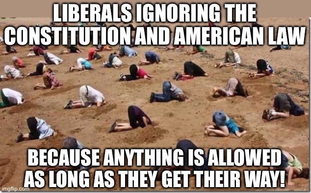 Silly liberals cheer when evil is used against those they don’t like, but forget the same weapons can be turned on them. | LIBERALS IGNORING THE CONSTITUTION AND AMERICAN LAW; BECAUSE ANYTHING IS ALLOWED AS LONG AS THEY GET THEIR WAY! | image tagged in head in sand | made w/ Imgflip meme maker