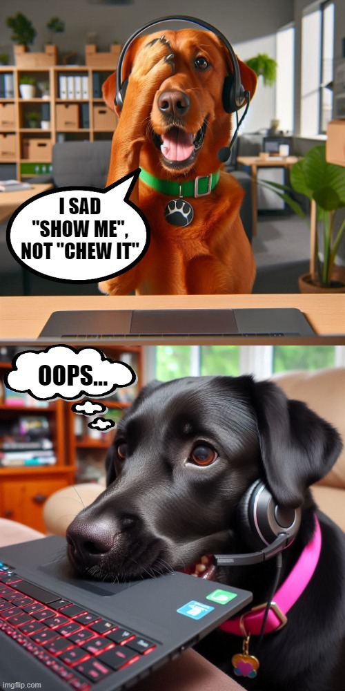 Misunderstood support dog | I SAD "SHOW ME", NOT "CHEW IT"; OOPS... | image tagged in dog,tech support,misunderstood | made w/ Imgflip meme maker
