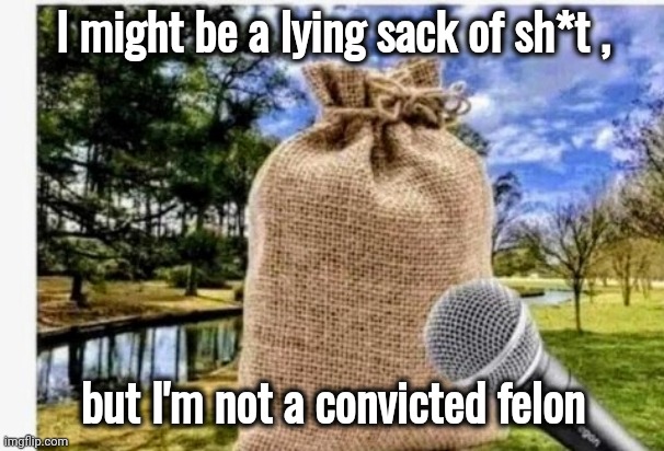 Joe rushed out a new campaign ad | I might be a lying sack of sh*t , but I'm not a convicted felon | image tagged in worthless,sack,politicians suck,putin cheers,communist,reich | made w/ Imgflip meme maker