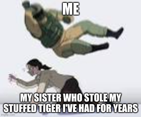 W U M B O F U Z E BODYSLAM | ME; MY SISTER WHO STOLE MY STUFFED TIGER I'VE HAD FOR YEARS | image tagged in w u m b o f u z e bodyslam | made w/ Imgflip meme maker