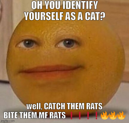 /j (please dont get mad over this) | OH YOU IDENTIFY YOURSELF AS A CAT? well, CATCH THEM RATS BITE THEM MF RATS ❗❗❗❗🔥🔥🔥 | image tagged in annoy orange | made w/ Imgflip meme maker