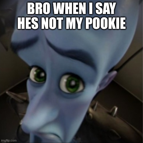 Pookie:( | BRO WHEN I SAY HES NOT MY POOKIE | image tagged in megamind peeking | made w/ Imgflip meme maker