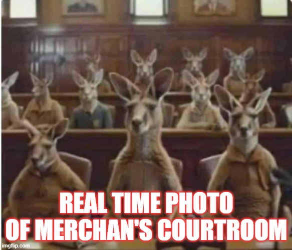 Kangaroo Court | REAL TIME PHOTO OF MERCHAN'S COURTROOM | image tagged in merchan,democrats,trump,kangaroo court | made w/ Imgflip meme maker