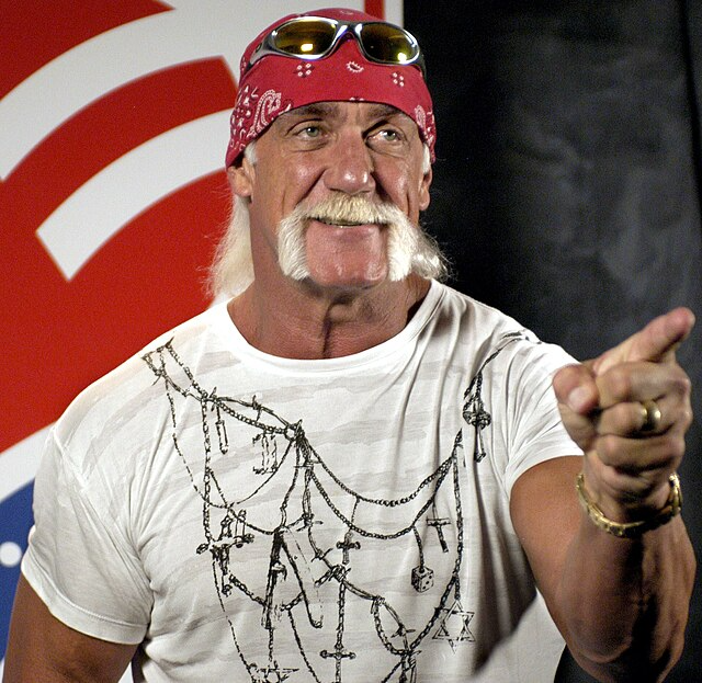 Hulk Hogan Blank Meme Template