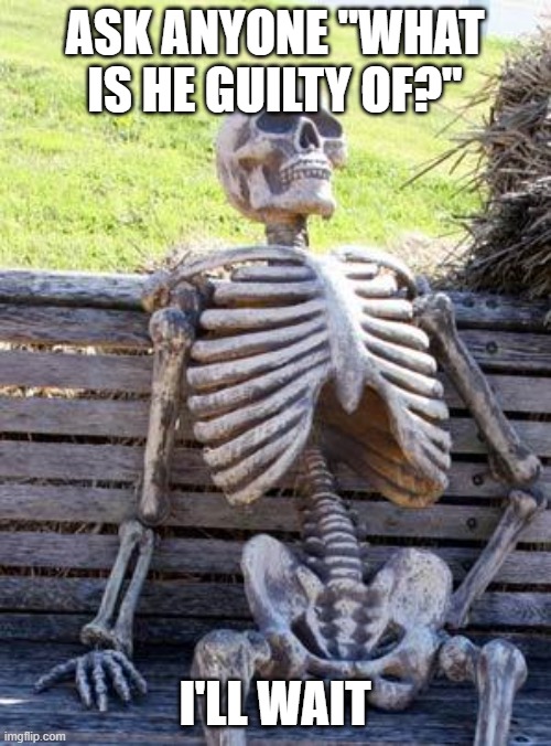 Waiting Skeleton Meme | ASK ANYONE "WHAT IS HE GUILTY OF?" I'LL WAIT | image tagged in memes,waiting skeleton | made w/ Imgflip meme maker