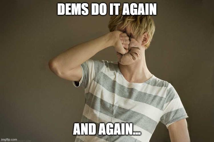 DEMS DO IT AGAIN AND AGAIN... | image tagged in punching yourself in the face | made w/ Imgflip meme maker