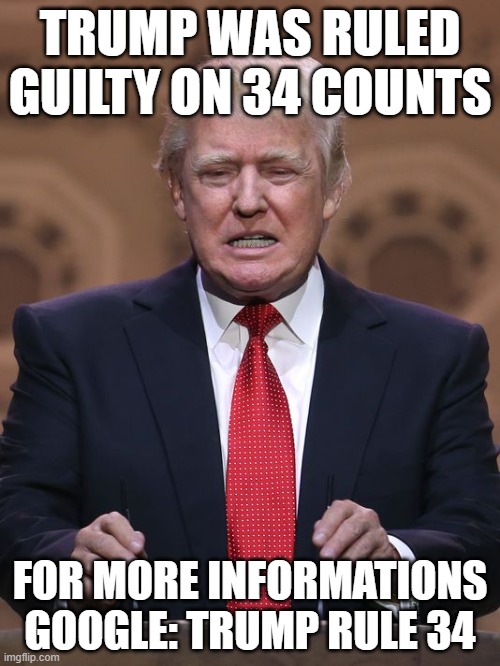 Some memes write themselves | TRUMP WAS RULED GUILTY ON 34 COUNTS; FOR MORE INFORMATIONS GOOGLE: TRUMP RULE 34 | image tagged in donald trump,court | made w/ Imgflip meme maker