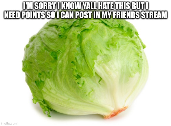 Lettuce  | I'M SORRY I KNOW YALL HATE THIS BUT I NEED POINTS SO I CAN POST IN MY FRIENDS STREAM | image tagged in lettuce | made w/ Imgflip meme maker