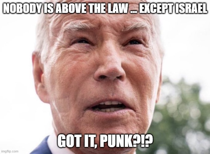 biden-eastwood | NOBODY IS ABOVE THE LAW ... EXCEPT ISRAEL; GOT IT, PUNK?!? | image tagged in biden-eastwood | made w/ Imgflip meme maker