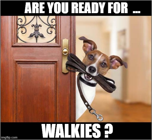 He's Trying To Tell You Something ! | ARE YOU READY FOR  ... WALKIES ? | image tagged in dogs,walkies | made w/ Imgflip meme maker